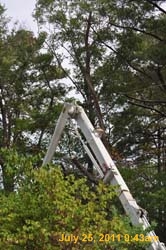 Entergy 101